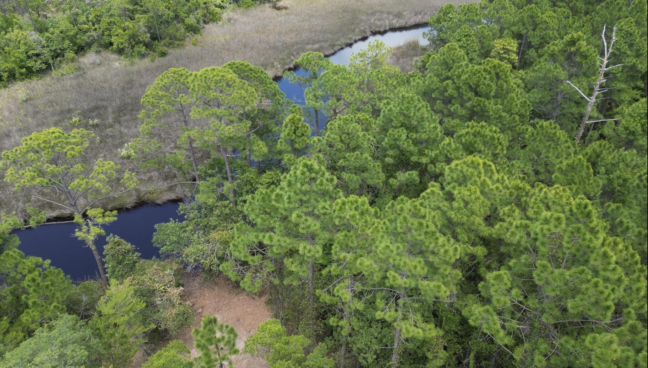 Lot 6 West Shore Dr Inlet Beach Inlet Beach, FL 32461 - Photo 2 of 21 temporary2