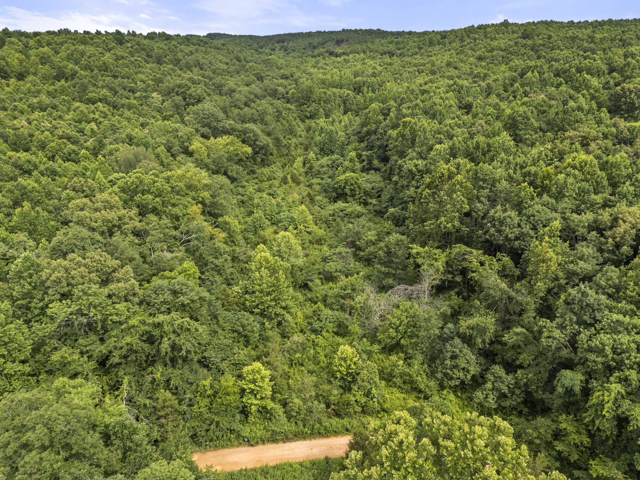 0 Rockhouse Road Linden, TN 37096 - Photo 2 of 6