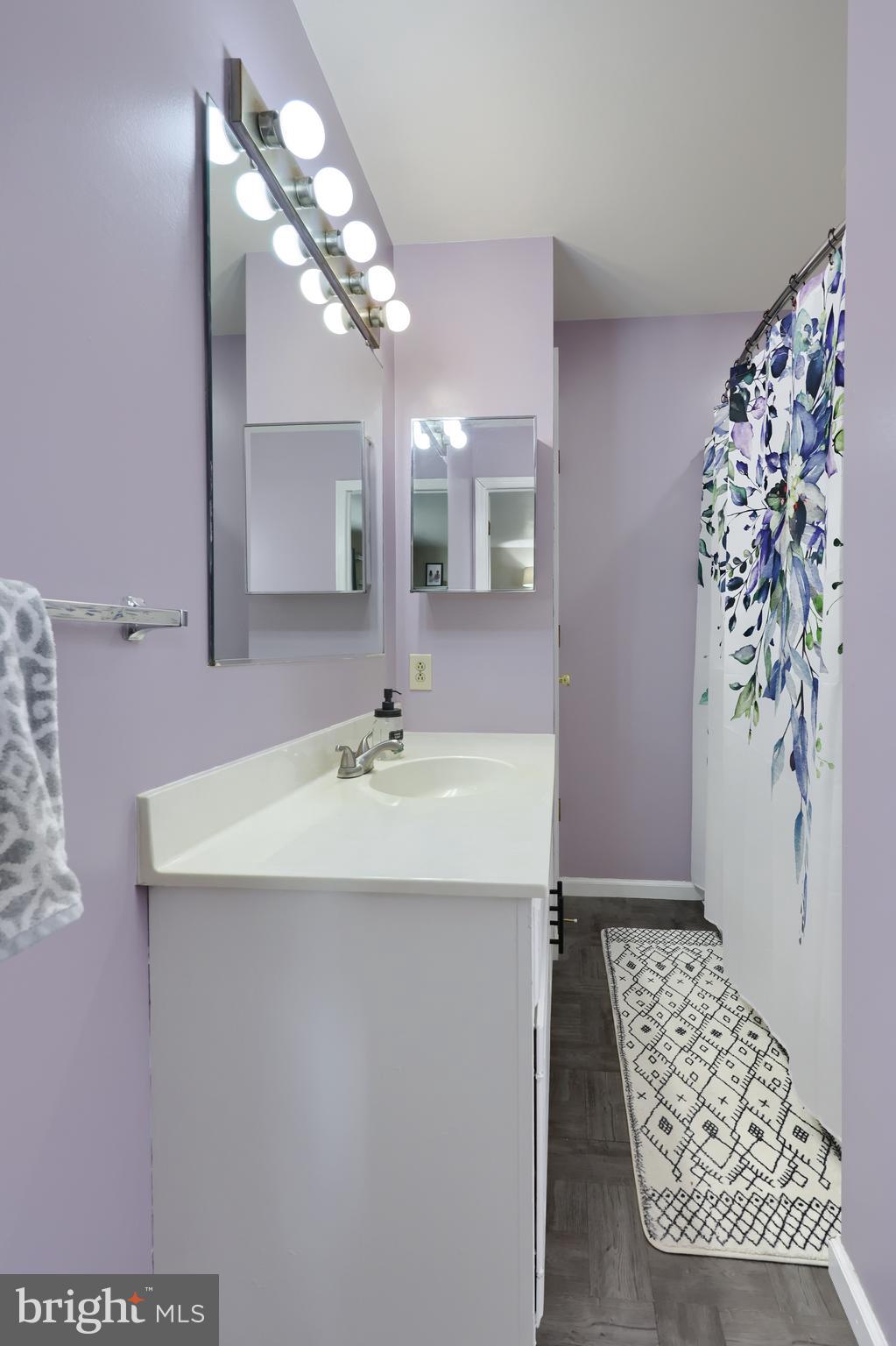 1022 Boeshore Circle Reading, PA 19605 - Photo 24 of 39 a bathroom with a sink a mirror and a shower