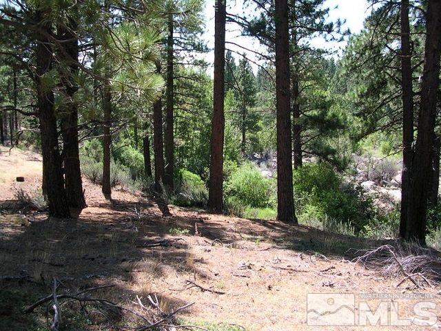 7 Will Sauer Road Washoe Valley, NV 89704 - Photo 15 of 25 Photo 15