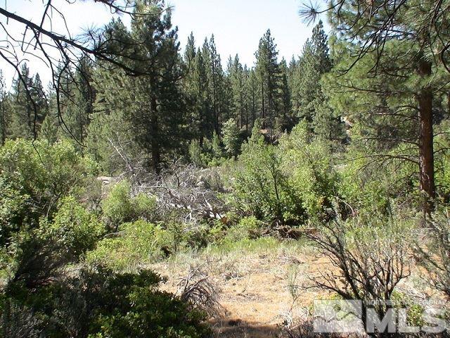 7 Will Sauer Road Washoe Valley, NV 89704 - Photo 4 of 25 Photo 4