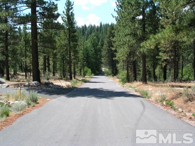 7 Will Sauer Road Washoe Valley, NV 89704 - Photo 8 of 25 Photo 8