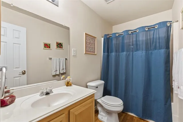 a bathroom with a sink a toilet and shower curtain