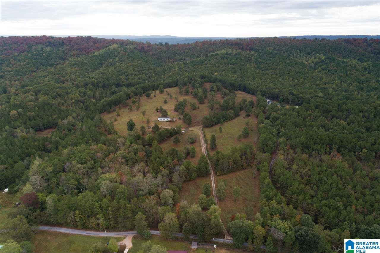 320 House Road Remlap, AL 35133 - Photo 21 of 35 Gallery Image 21