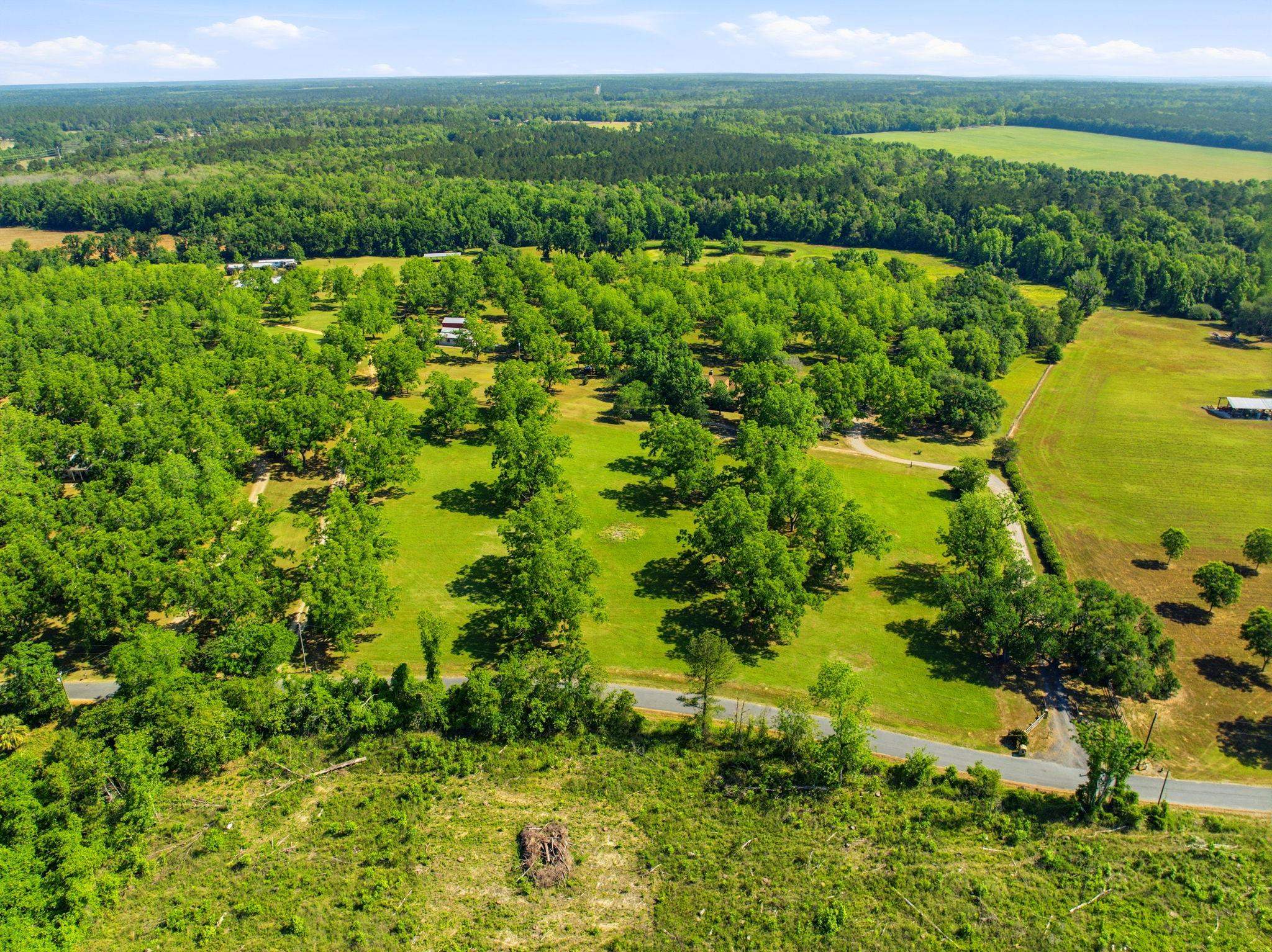 1590 Tyson Road Monticello, FL 32344 - Photo 47 of 56