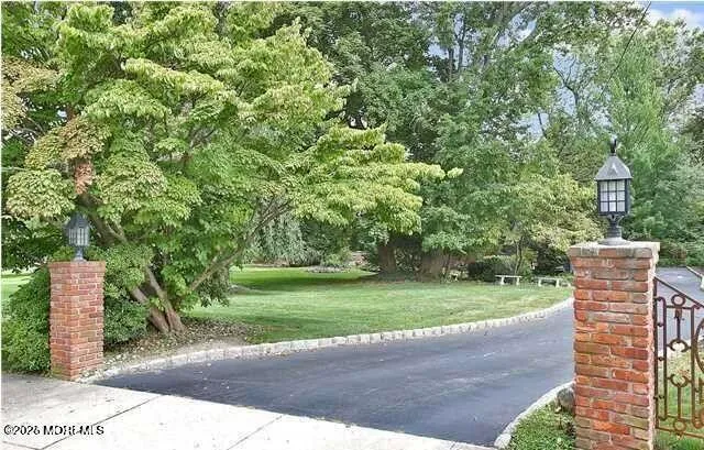 a view of a park with large trees