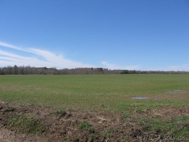 Vl North Ridge Road Carsonville, MI 48419 - Photo 3 of 10