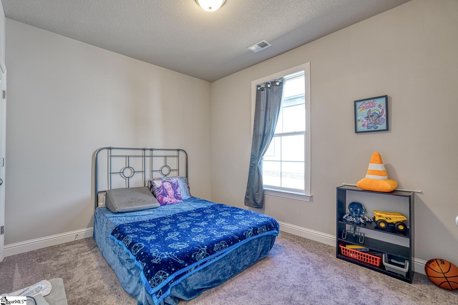 207 Nantallah Trail Mauldin, SC 29662 - Photo 22 of 41