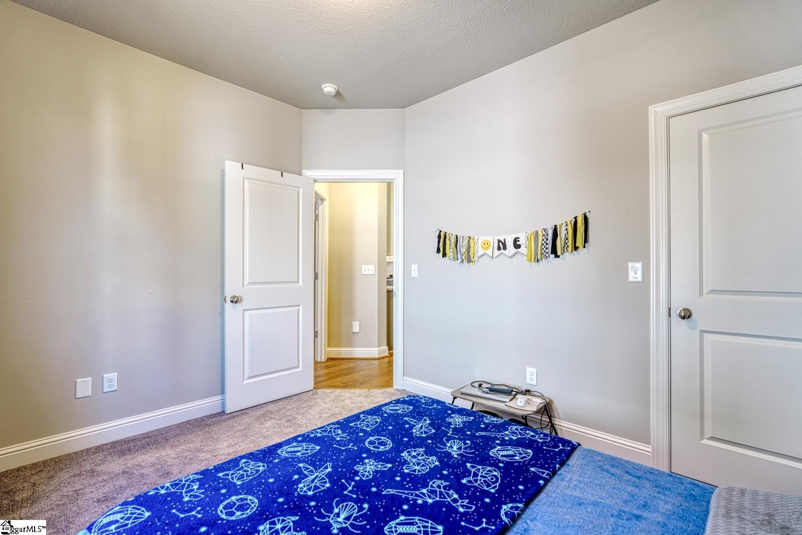 207 Nantallah Trail Mauldin, SC 29662 - Photo 23 of 41