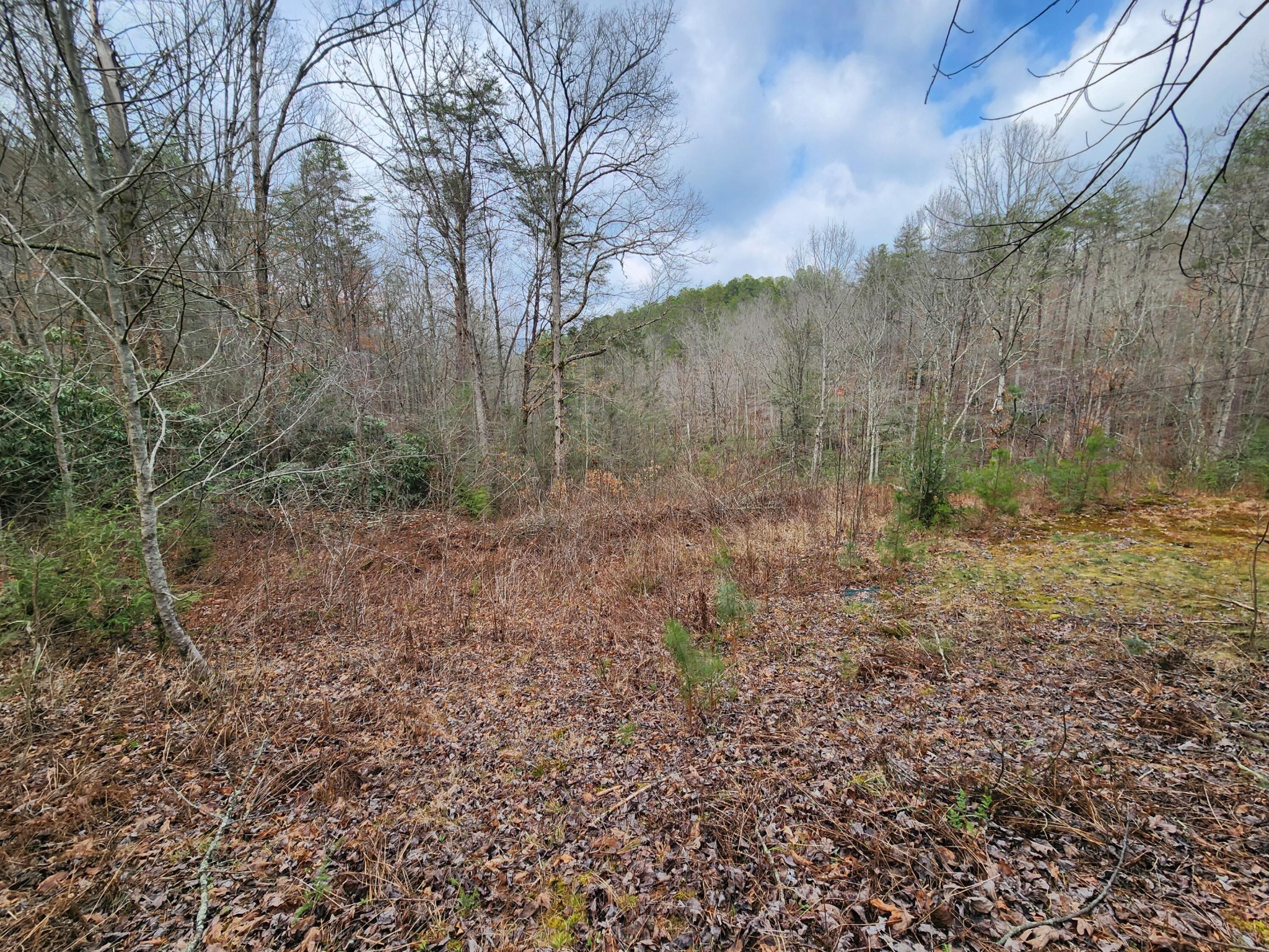 460 Tallent Road Copperhill, TN 37317 - Photo 38 of 52 Gallery Image 38