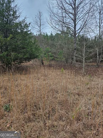 $105,000 | 730 Osley Mill Road, Carlton, GA 30627