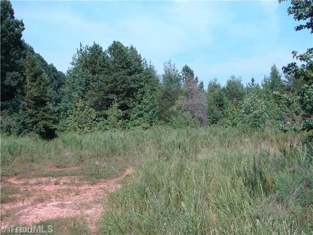 X Wagner Road Mocksville, NC 27028 - Photo 1 of 3 Land.