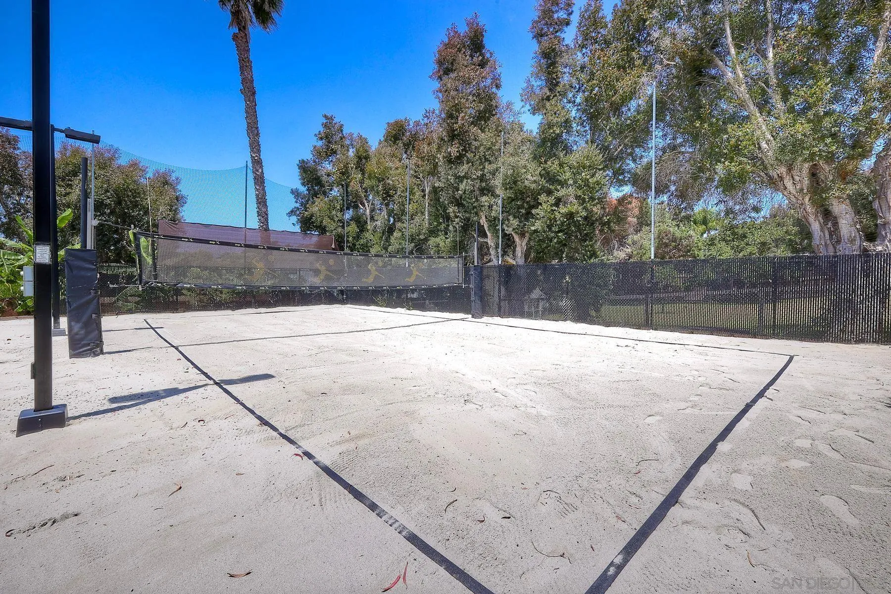 1408 Caudor Street Encinitas, CA 92024 - Photo 51 of 75 a view of backyard and tree