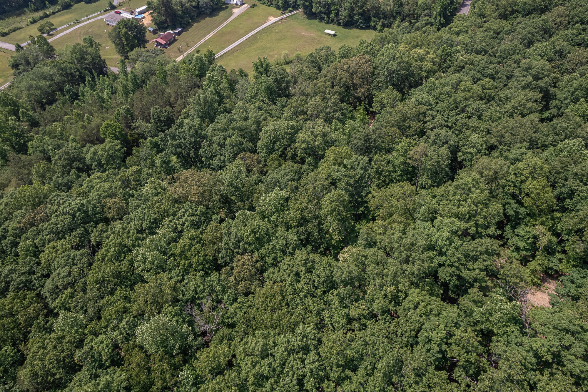 55 County Road 179 Decatur, TN 37322 - Photo 7 of 12 Gallery Image 7