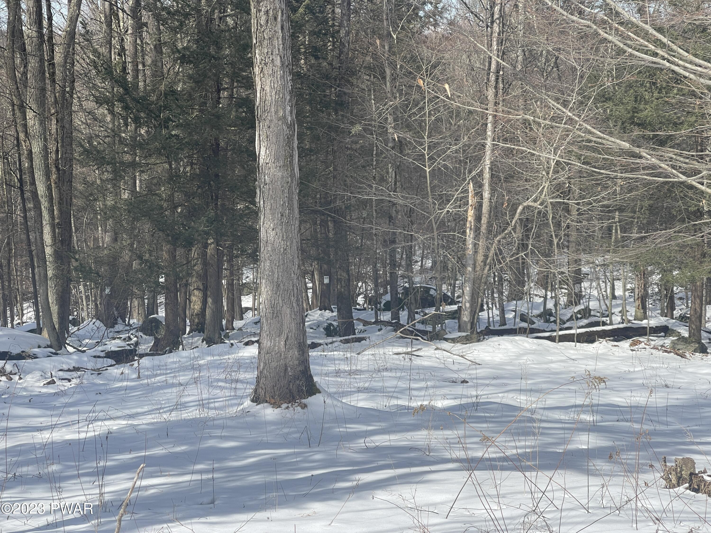 183-3096) Northgate Road Lake Ariel, PA 18436 - Photo 23 of 26