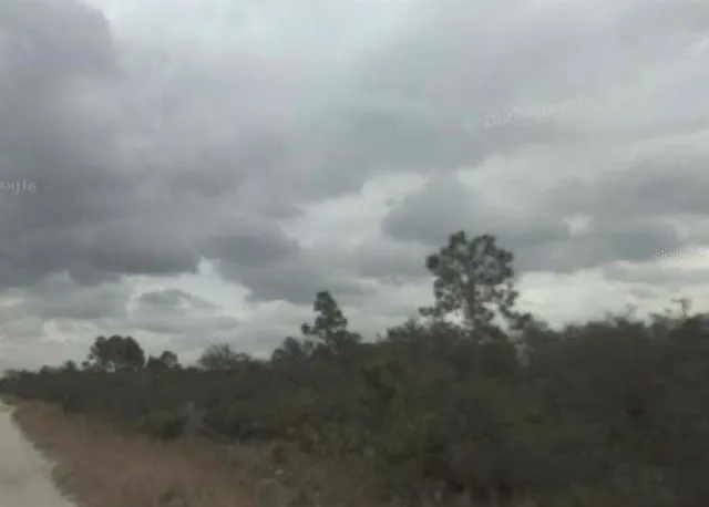 a view of a big yard of a house