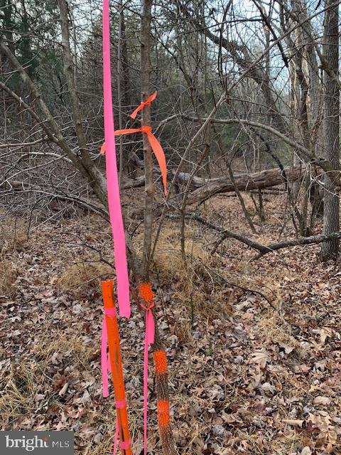 0 Supinlick Ridge Road Edinburg, VA 22824 - Photo 11 of 18 a front view of a house with a yard and a tree