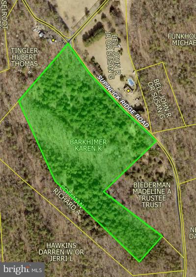 0 Supinlick Ridge Road Edinburg, VA 22824 - Photo 18 of 18 a view of a garden