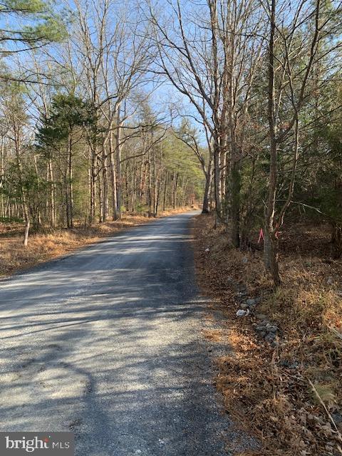 0 Supinlick Ridge Road Edinburg, VA 22824 - Photo 3 of 18 a view of a yard with large trees