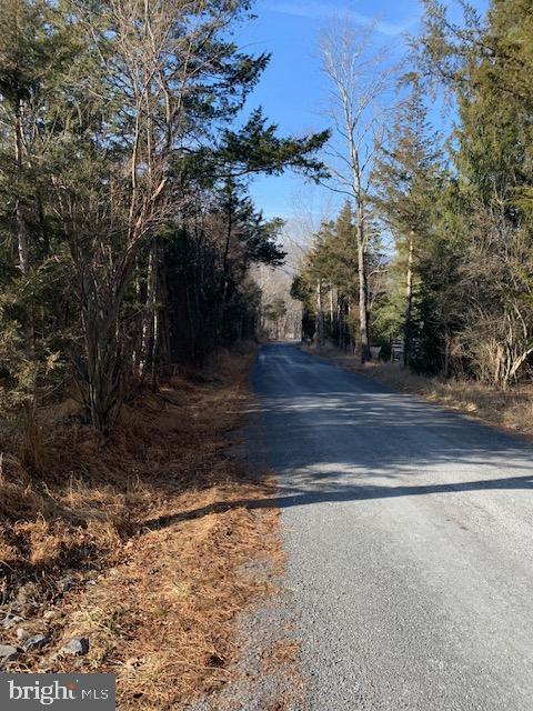 0 Supinlick Ridge Road Edinburg, VA 22824 - Photo 4 of 18 a view of yard
