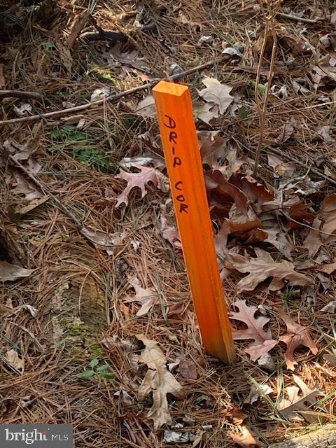 0 Supinlick Ridge Road Edinburg, VA 22824 - Photo 6 of 18