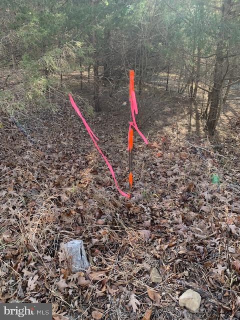 0 Supinlick Ridge Road Edinburg, VA 22824 - Photo 10 of 18 a view of a park with a slide