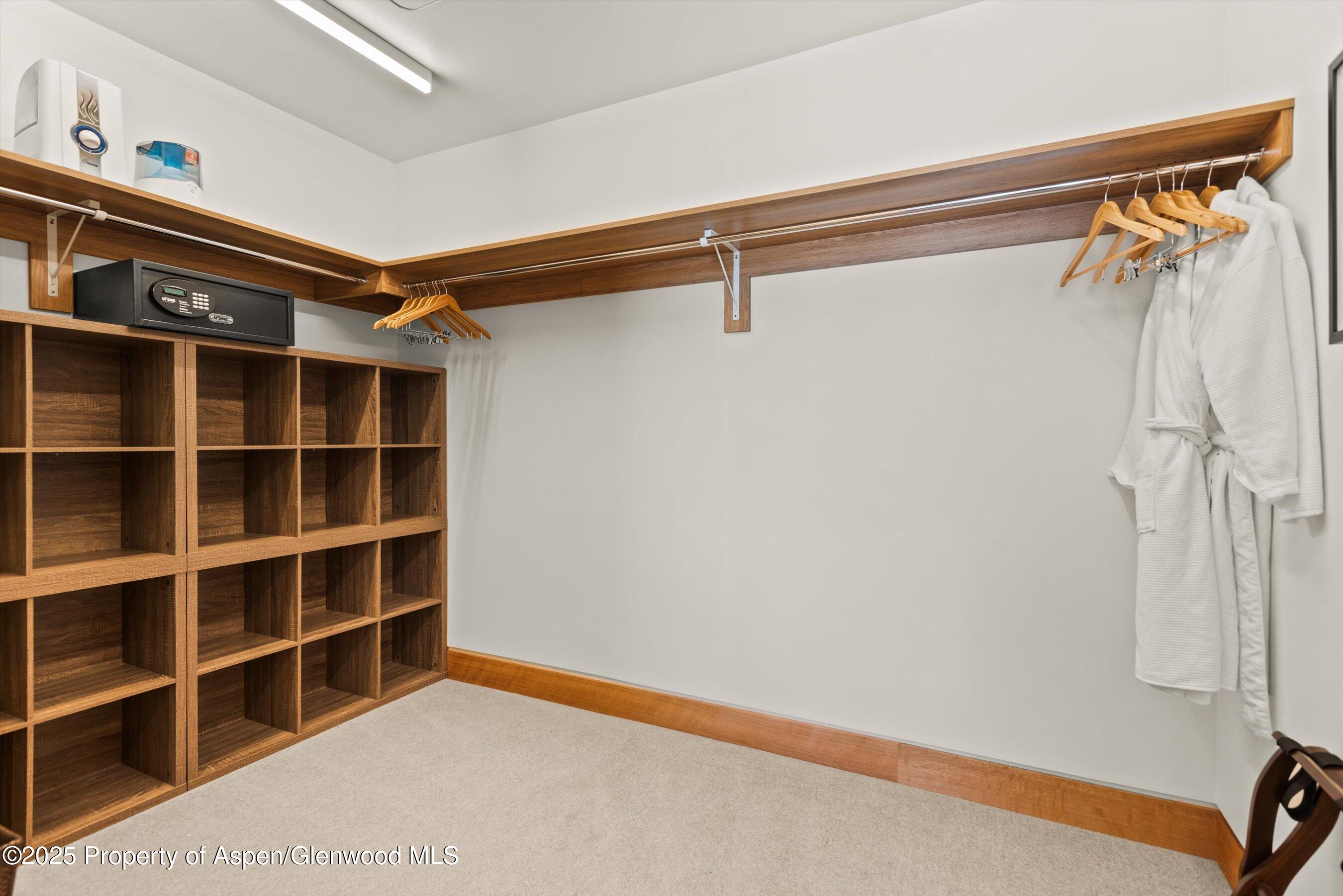 45 Wood Road, Unit 501 Snowmass Village, CO 81615 - Photo 26 of 44 a view of walk in closet with empty racks
