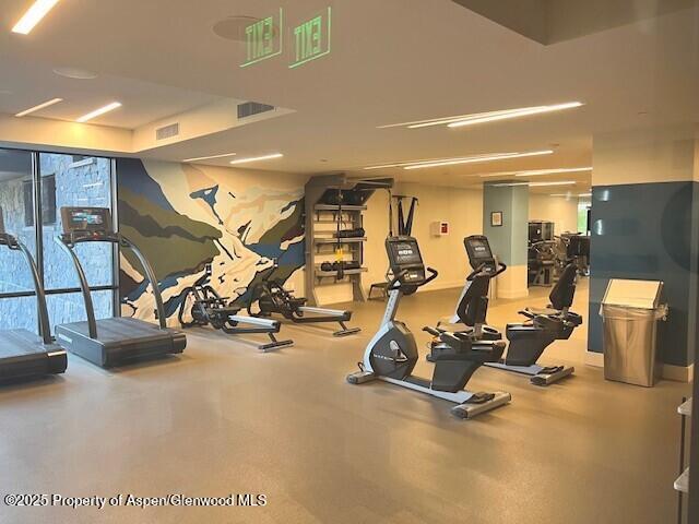 45 Wood Road, Unit 501 Snowmass Village, CO 81615 - Photo 36 of 44 a view of a room with gym equipment