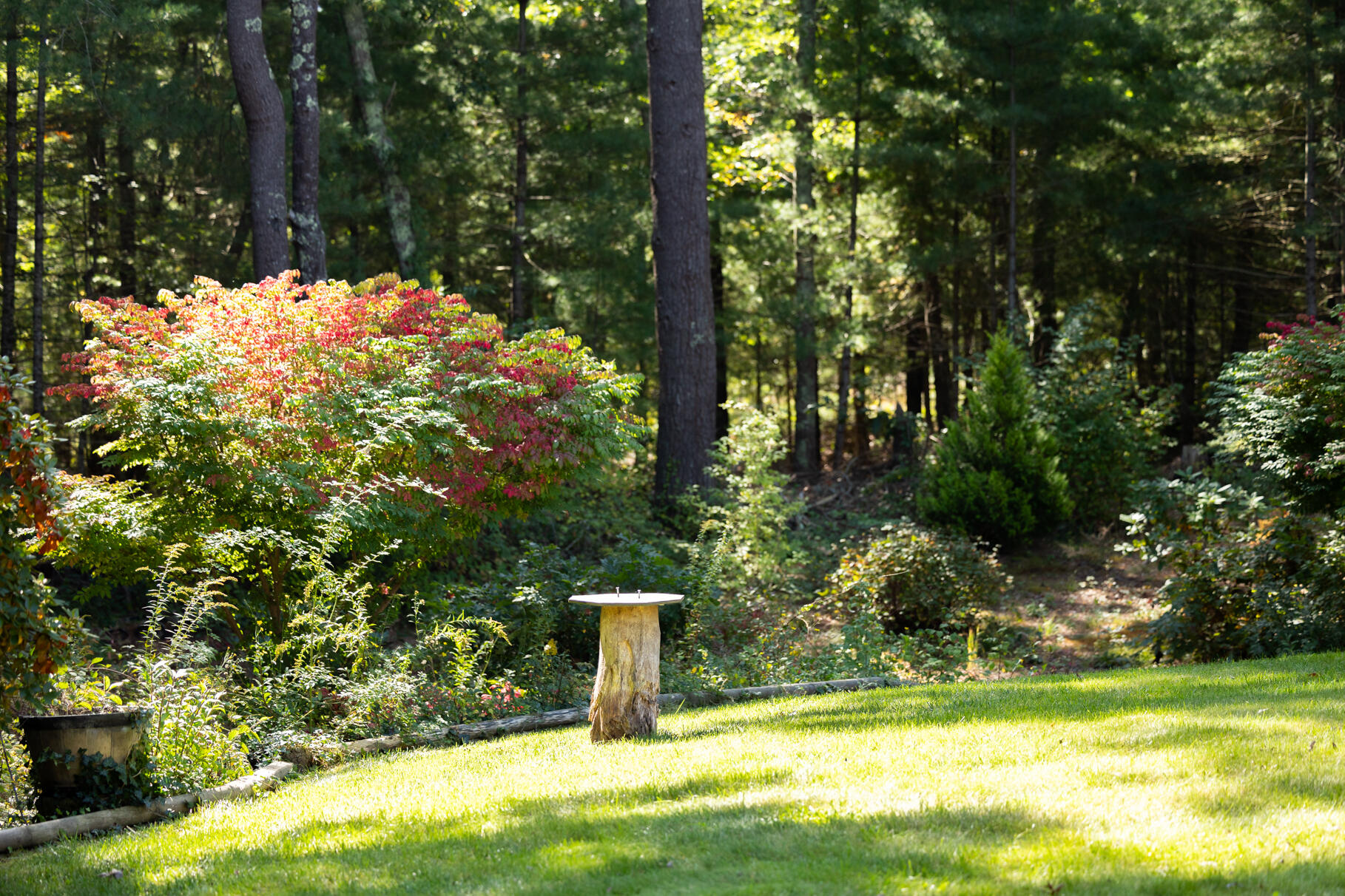 7 Yearling Run Road Buzzards Bay, MA 02532 - Photo 43 of 55 a view of a yard with plants