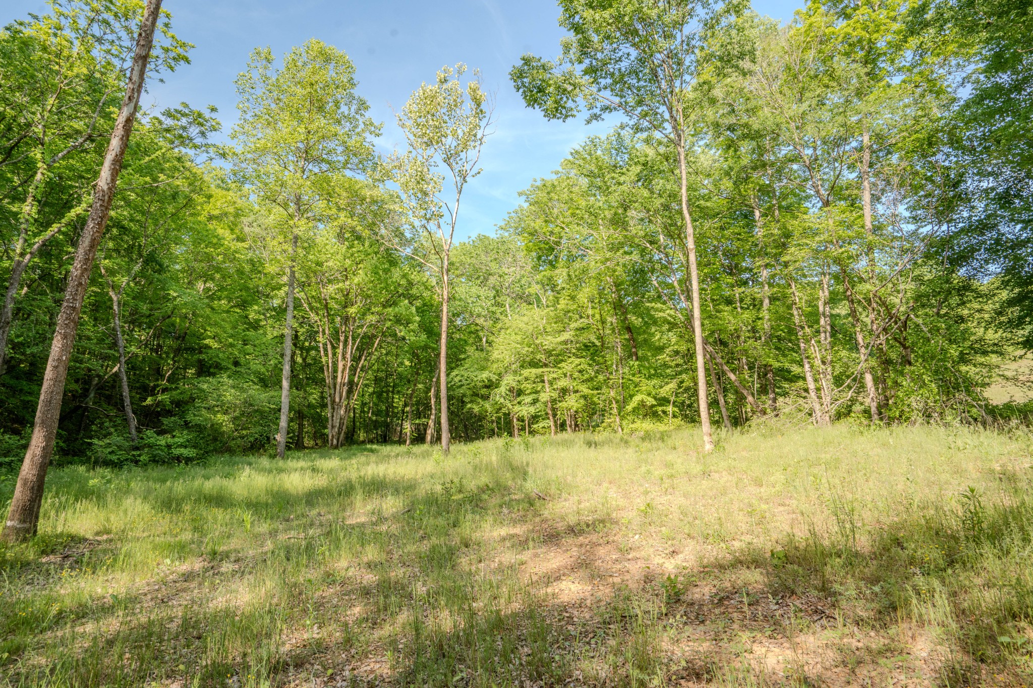 875 Waterloo Road Westpoint, TN 38486 - Photo 62 of 89 Gallery Image 62
