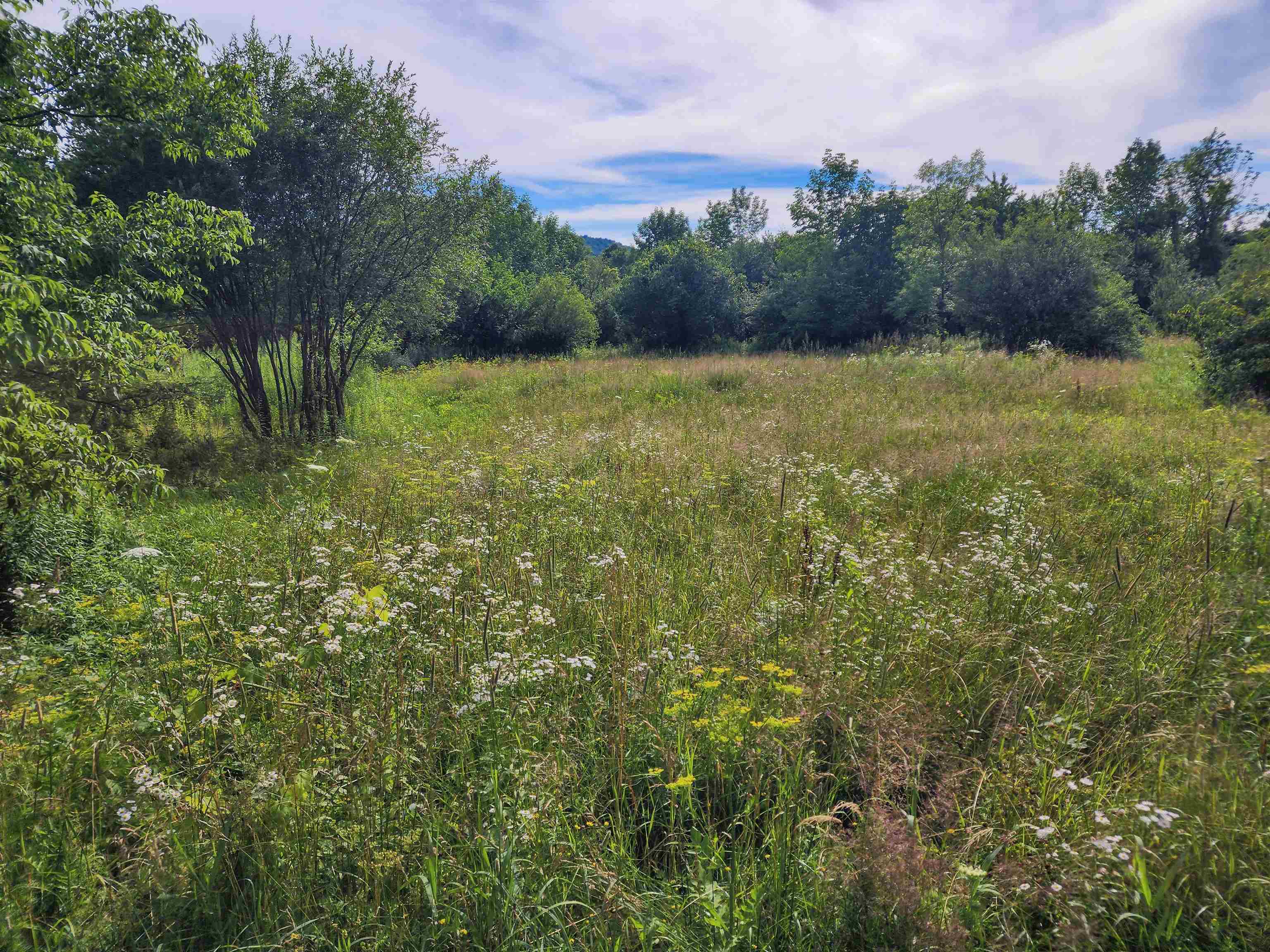 0 Applesauce Hill Road, Unit 3 Castleton, VT 05735 - Photo 29 of 58 Gallery Image 29