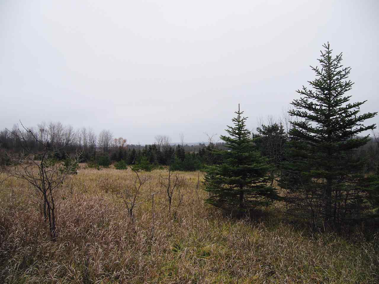 5600 East Kabat Road Cedar, MI 49621 - Photo 77 of 79 1810809-76.JPG