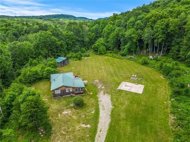 a view of a trees with yard