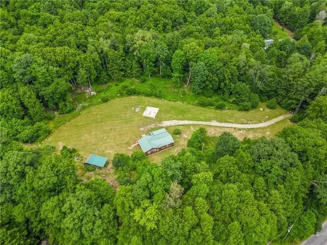 a view of a park with a slide
