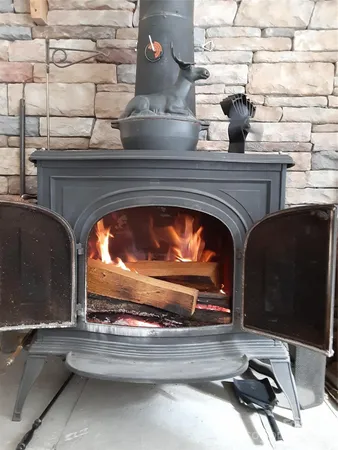 a close view of fireplace and a potted plant