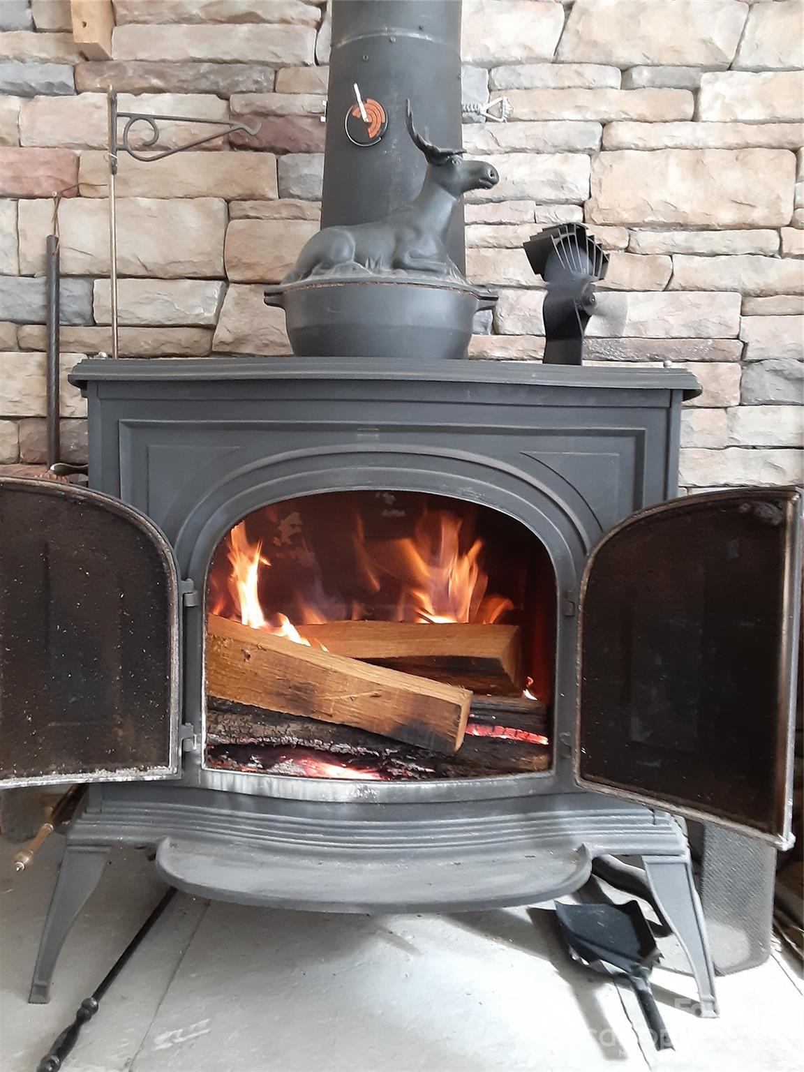 31 Reeds Creek Road Fairview, NC 28730 - Photo 14 of 35 a close view of fireplace and a potted plant