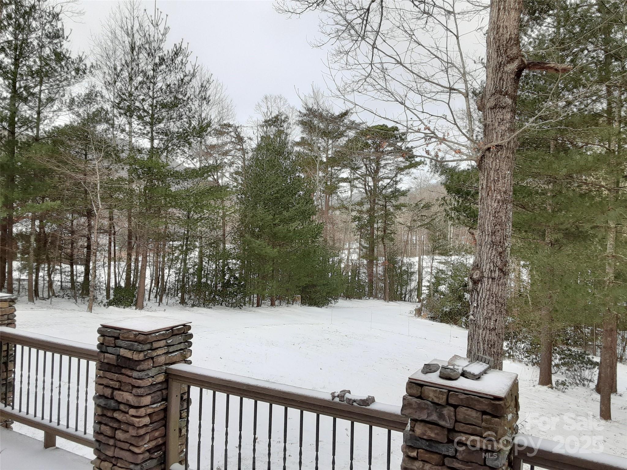 31 Reeds Creek Road Fairview, NC 28730 - Photo 34 of 35 a view of outdoor space with trees