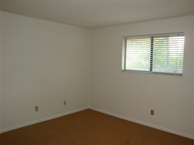 1571 Stone Road, Unit 3011 Tallahassee, FL 32303 - Photo 8 of 25 Gallery Image 8