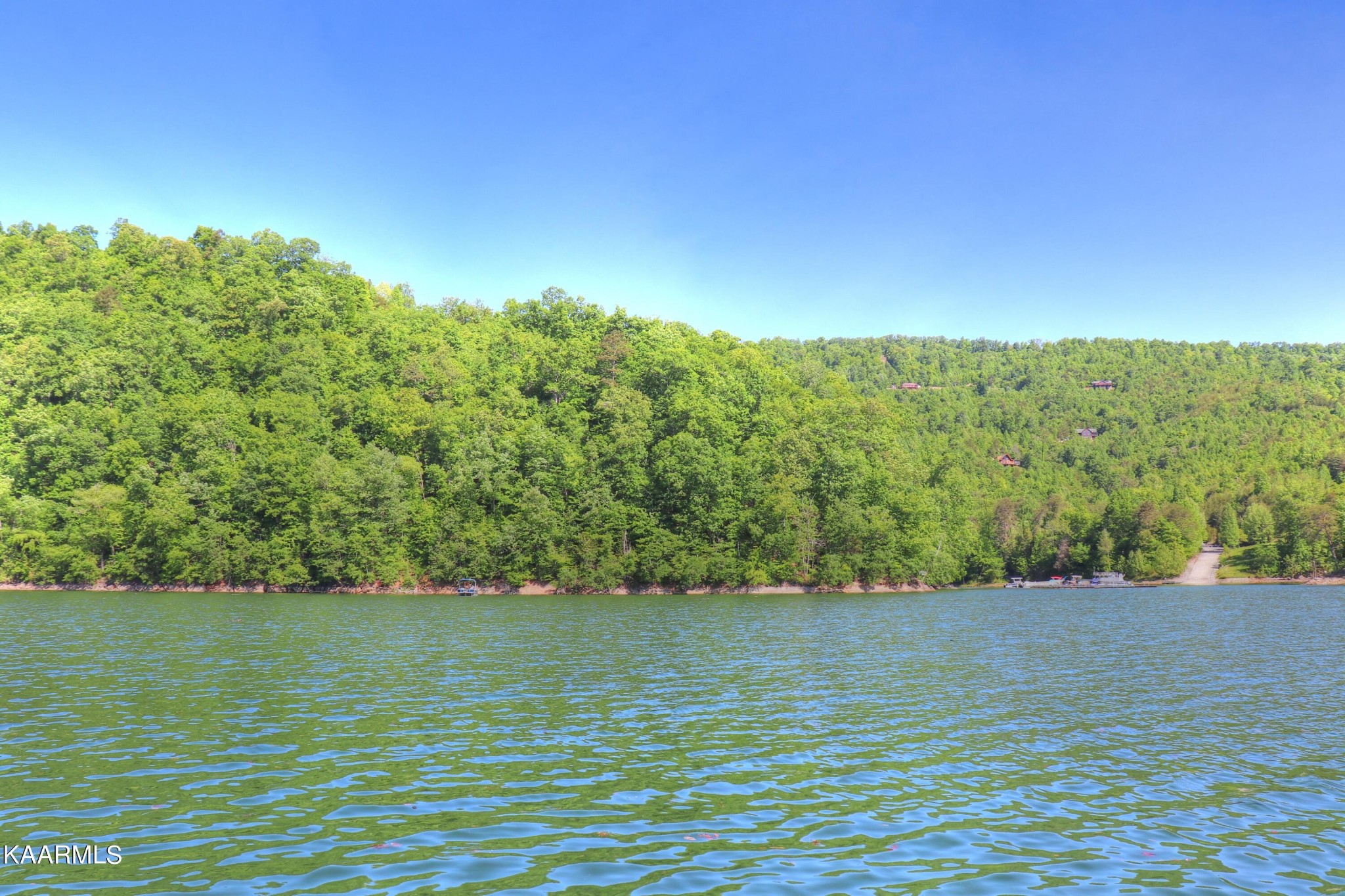 873 Clearwater Road New Tazewell, TN 37825 - Photo 10 of 38