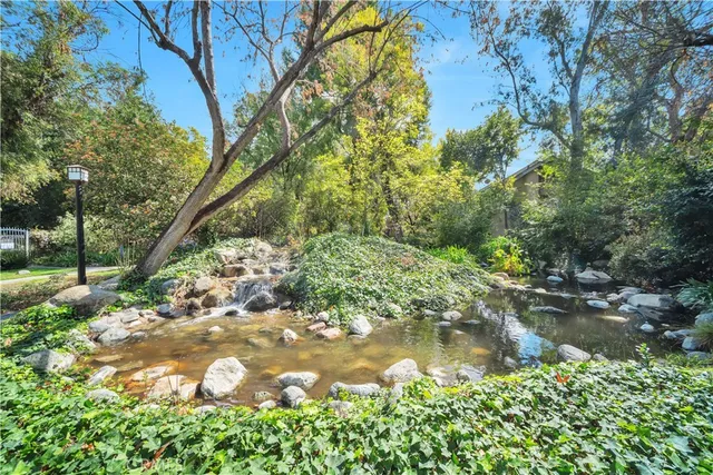 a view of a lake with a tree