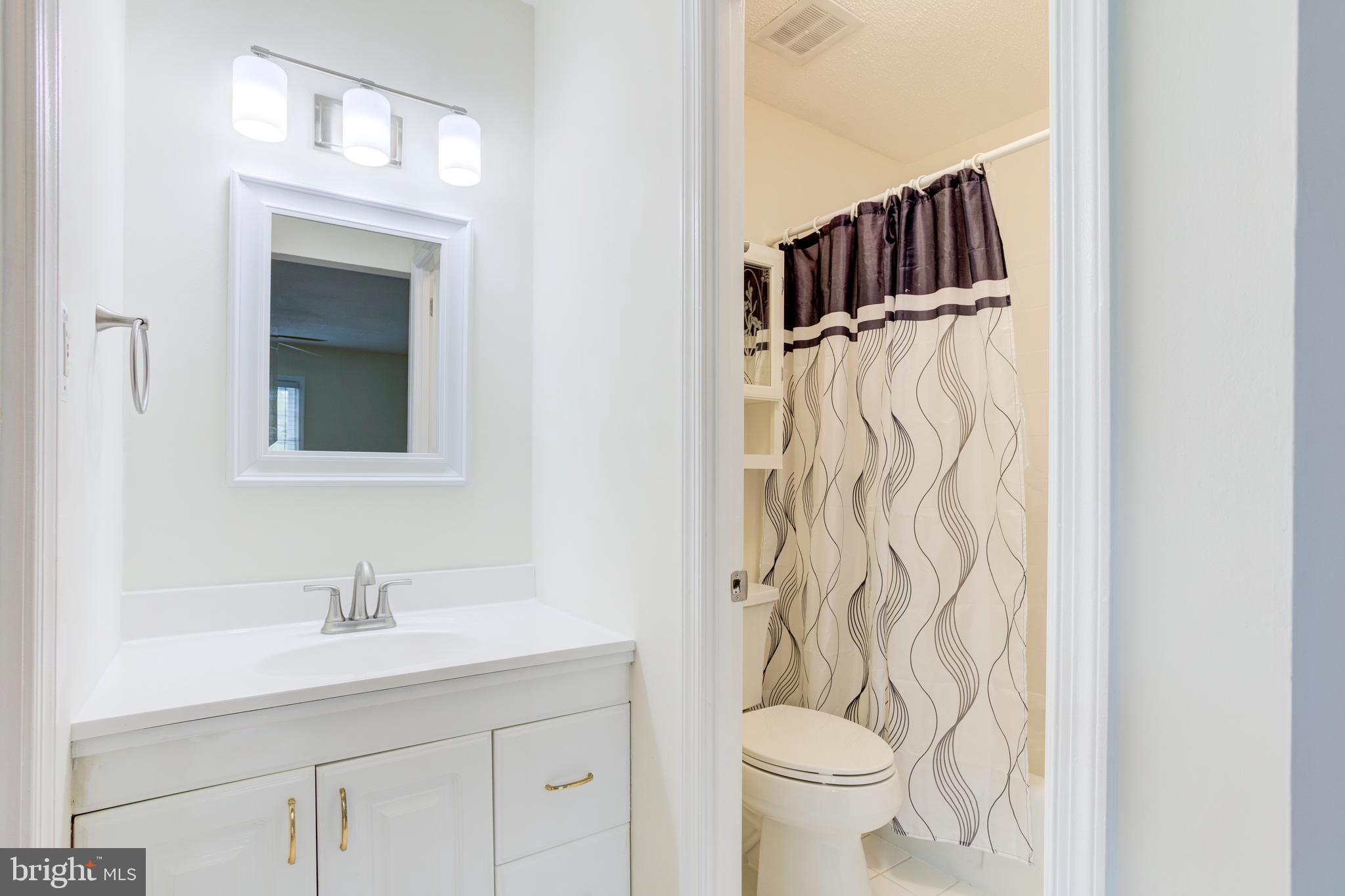 8108 St David Court Springfield, VA 22153 - Photo 15 of 40 Primary Bath