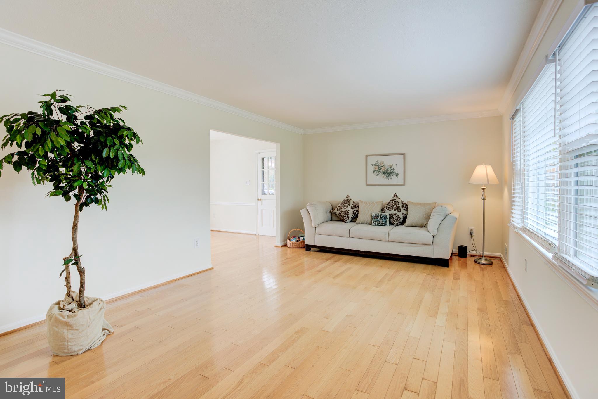 8108 St David Court Springfield, VA 22153 - Photo 3 of 40 Living Room