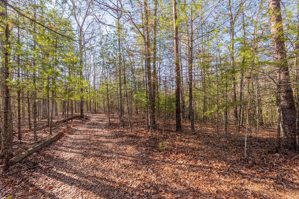 Tbd Kimberling Road, Unit 10A 10B2 Bland, VA 24315 - Photo 34 of 72 Gallery Image 34