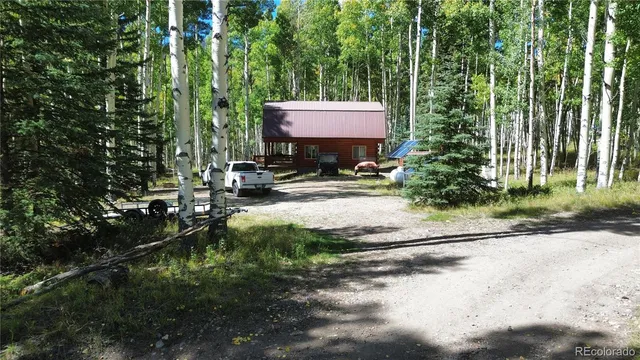 a view of backyard with tree