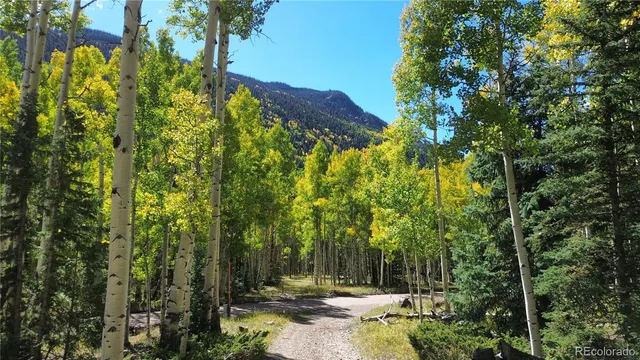 a view of a patio with table and chairs with wooden fence and plants