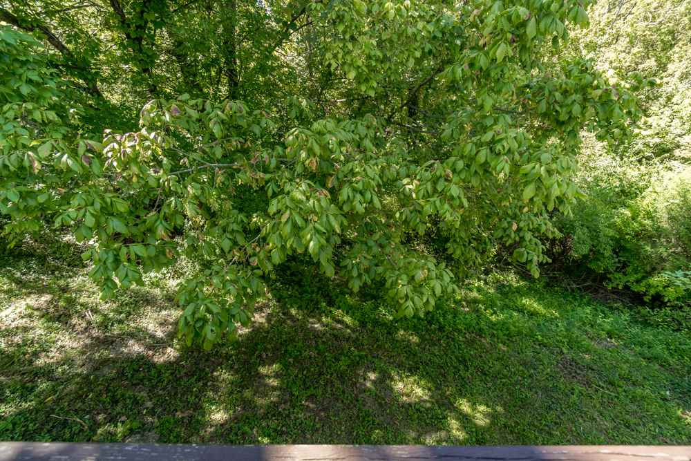488 Walnut Road Covington, KY 41015 - Photo 28 of 34 Gallery Image 28