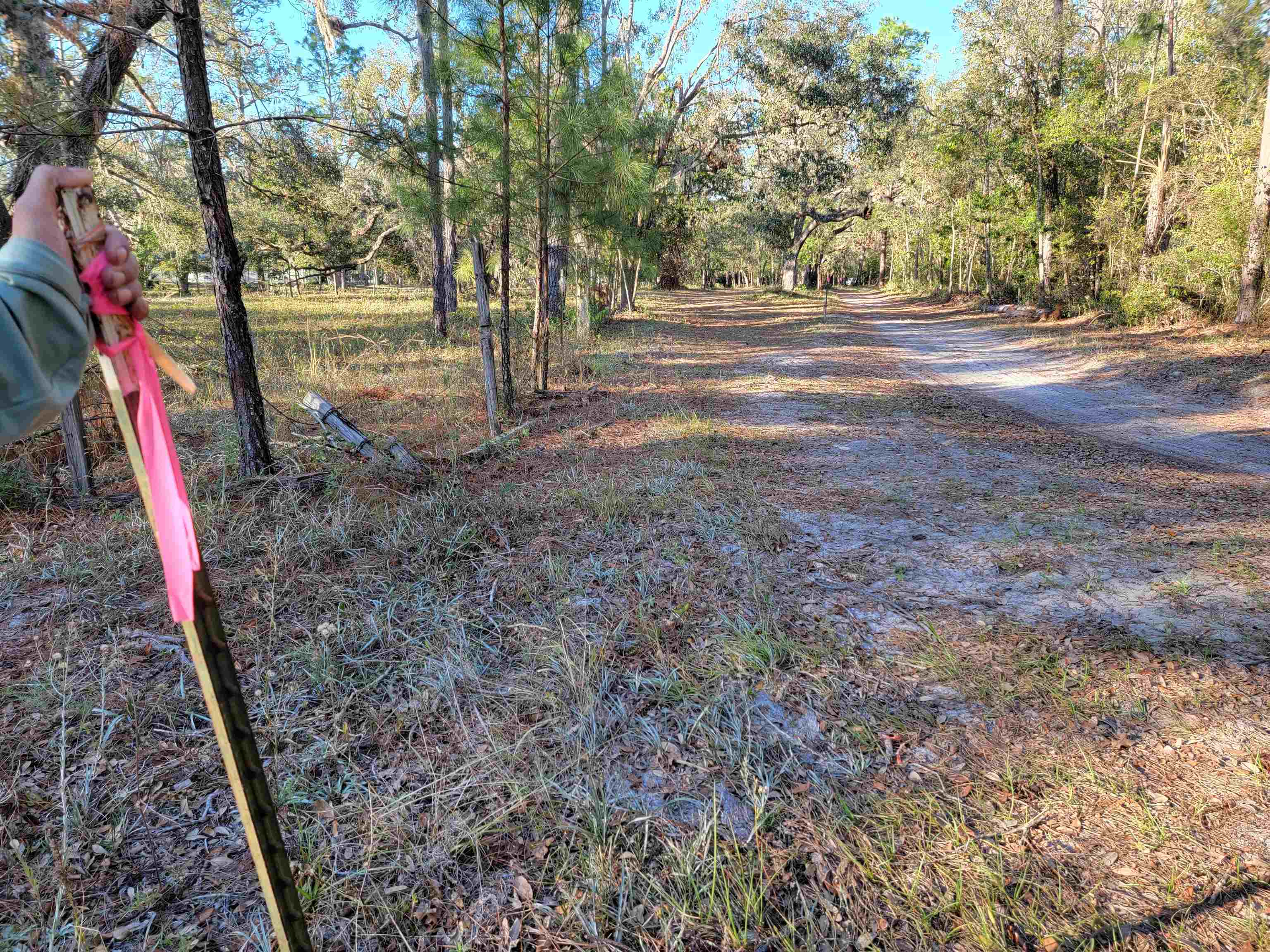 0 Landry Road Perry, FL 32348 - Photo 5 of 7