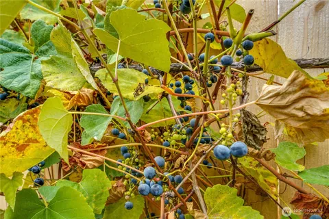 $899,950 | 9711 223rd Street Southeast, Snohomish, WA 98296