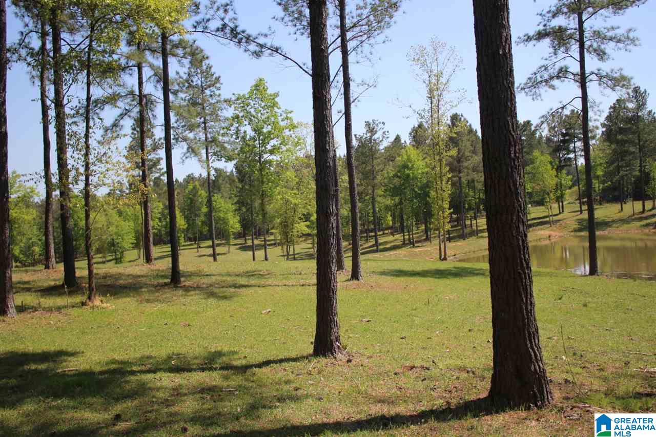 0 Alston Farm Road, Unit 1 Columbiana, AL 35051 - Photo 7 of 8