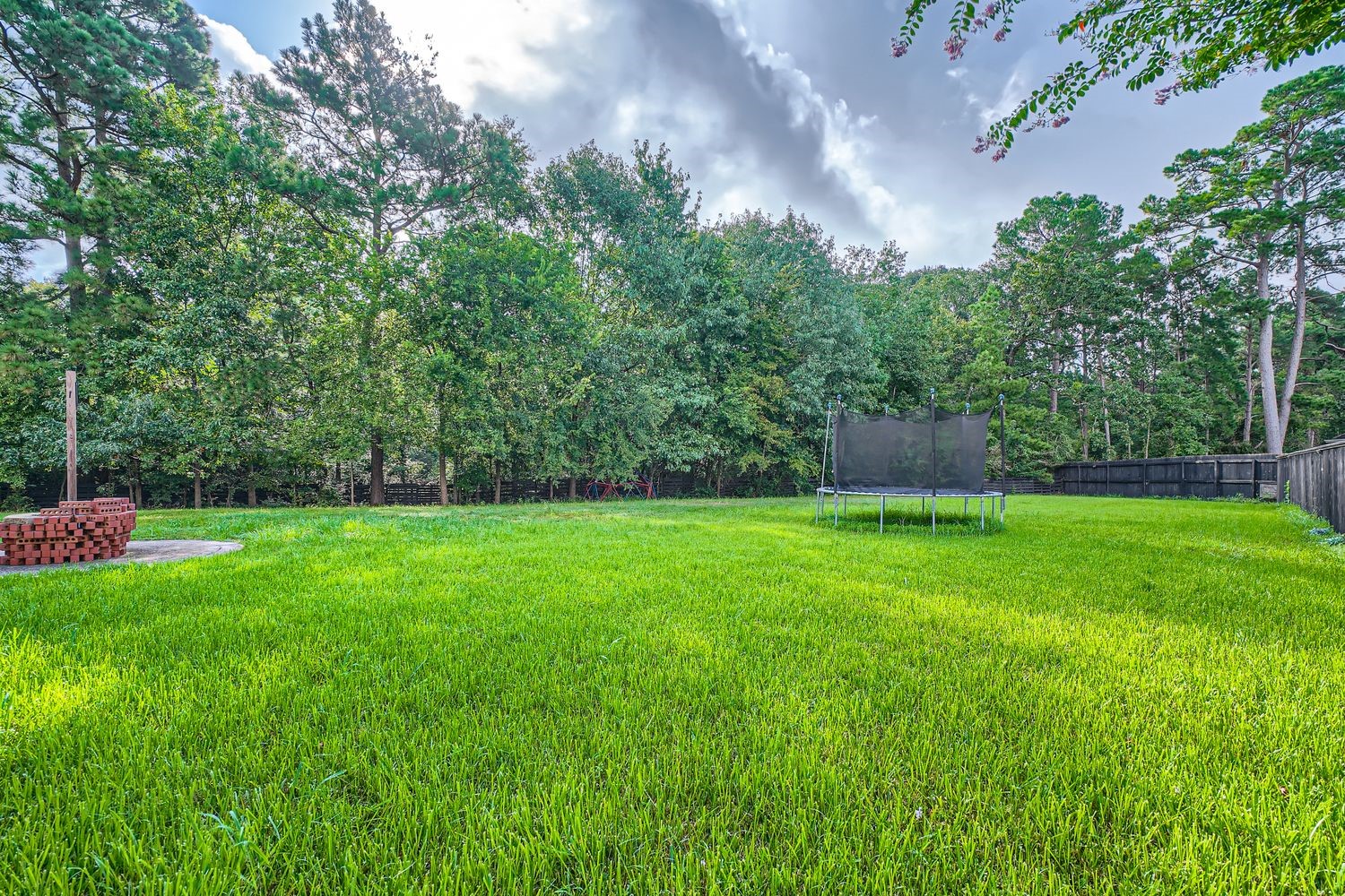 17 Leandro Court Montgomery, TX 77356 - Photo 36 of 38 a view of a backyard with a garden